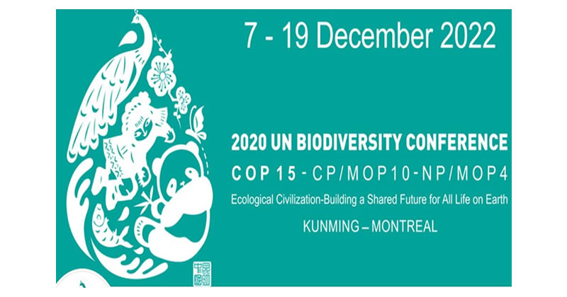 7-19 Dicembre 2022 – Cop15: La Conferenza delle Nazioni Unite per proteggere la natura e la nostra casa comune