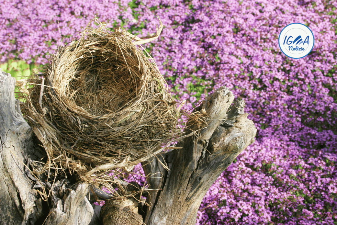 Il nido vuoto: i genitori cosa provano?