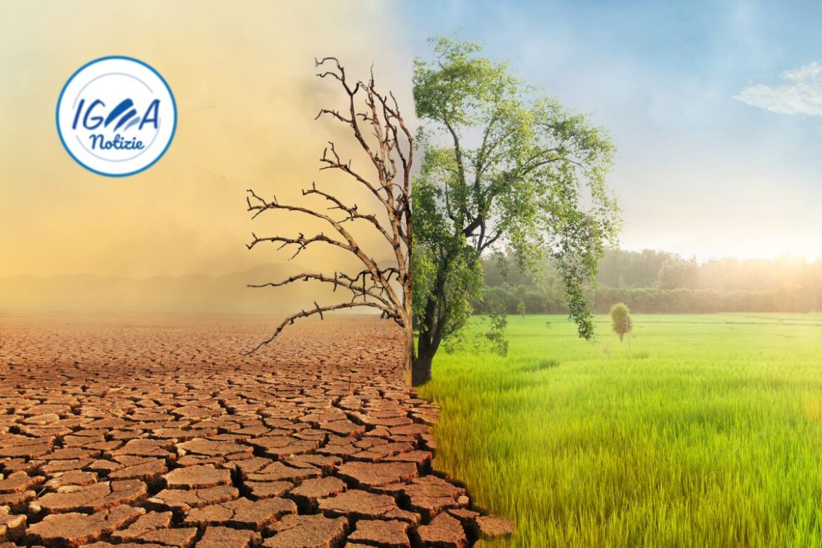 COP28: guida completa alla conferenza sul clima di Dubai