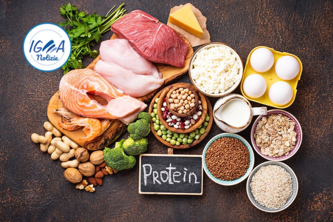Guida completa alle proteine nella dieta: quanta proteina dovresti consumare ogni giorno in base all’attività fisica e all’età