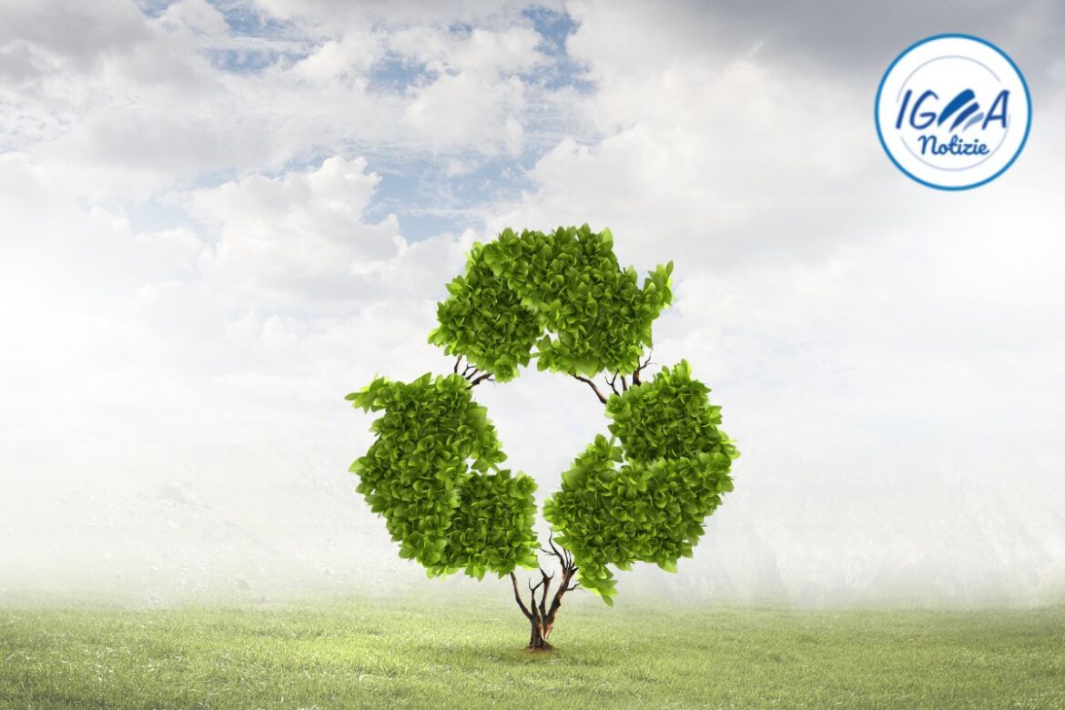 Esplorando le 4 R della sostenibilità: ridurre, riutilizzare, riciclare e rinnovare