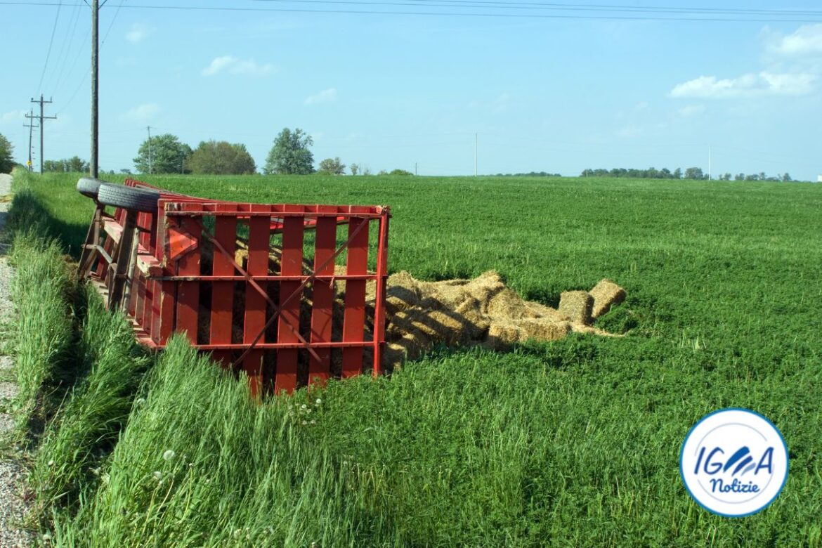 Analisi degli infortuni in agricoltura: tendenze e implicazioni per la sicurezza sul lavoro