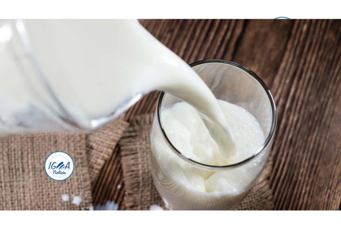 Il latte fa bene o male? Cosa ci dice la scienza